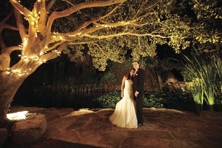 8 Rules for Requesting Songs from Your Wedding Band